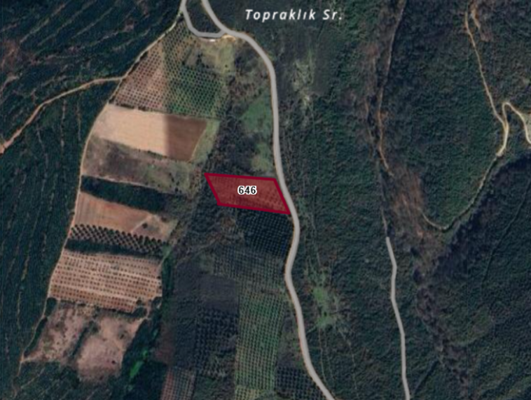 BURSA KARACABEY DOĞLA 'DA 8.600  M²  TARLA  SATILIKTIR. - BURSA KARACABEY fotoğraf 4